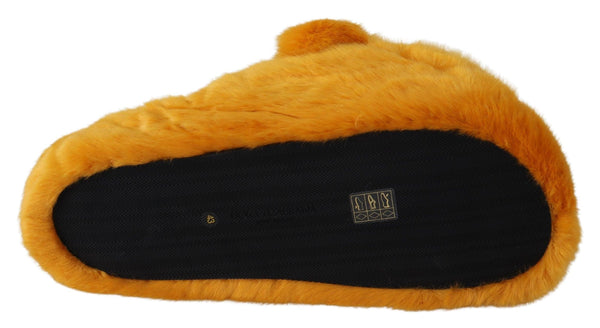 Dolce & Gabbana Sunshine Yellow Lion Slippers