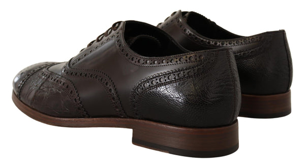 Dolce & Gabbana Elegant Brown Leather Derby Brogue Formal Shoes