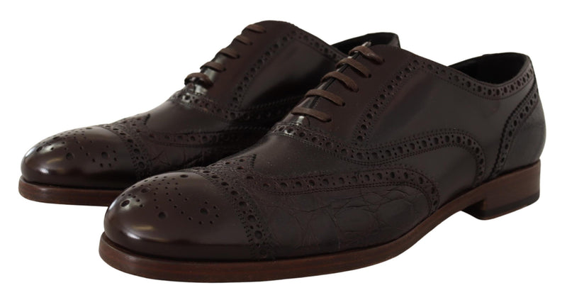 Dolce & Gabbana Elegant Brown Leather Derby Brogue Formal Shoes