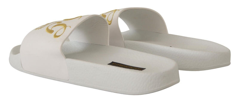 Dolce & Gabbana Chic White Leather Slides with Gold Embroidery