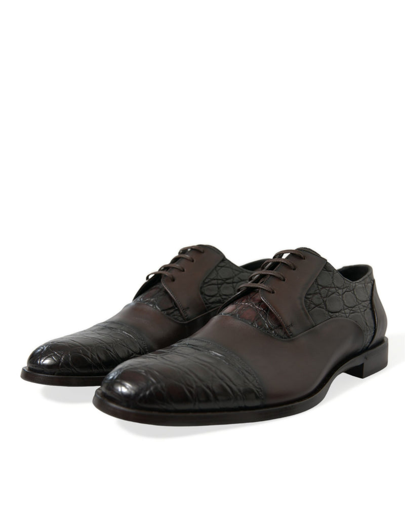 Dolce & Gabbana Elegant Brown Formal Derby Dress Shoes